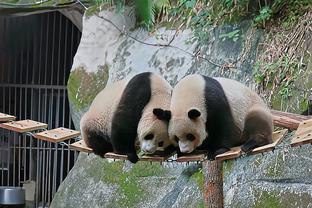 料事如神？申花外援马莱莱10月份就已透露C罗将要中国行